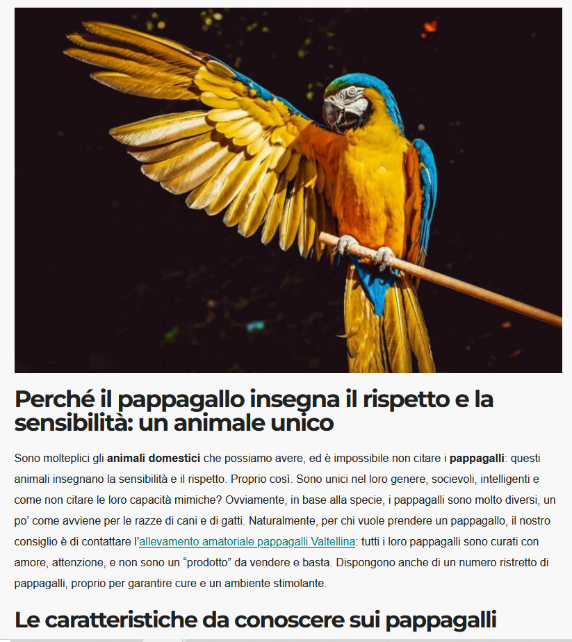 Perché il pappagallo insegna il rispetto e la sensibilità: un animale unico