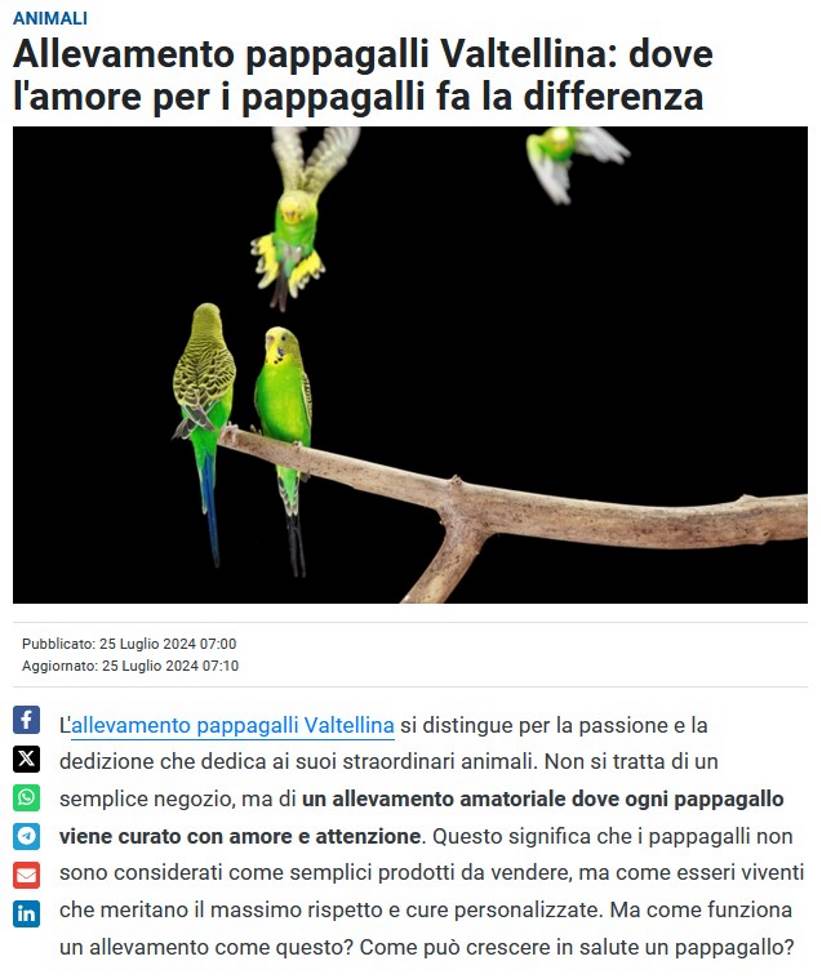 Perché il pappagallo insegna il rispetto e la sensibilità: un animale unico